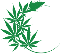 Grow Cannabis Courses