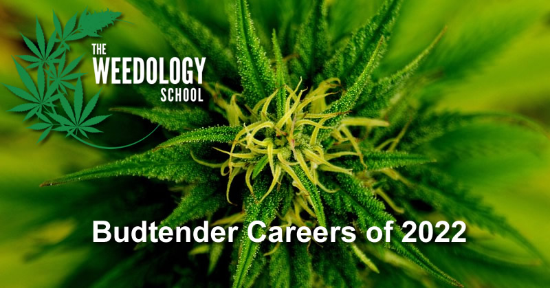budtender-course-2022-banner